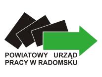 Formularz Indywidualnego Planu Działania /Partnerstwo Radomsko/ Indywidualny Plan Imię i nazwisko uczestnika programu:..... Cel, który chcę osiągnąć.