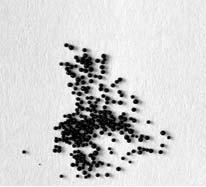 1. Images of the initial polymer XAD, carbonizate C-XAD-500, active carbon C-XAD-500-700-5 and active carbon C-XAD-500-800-0.