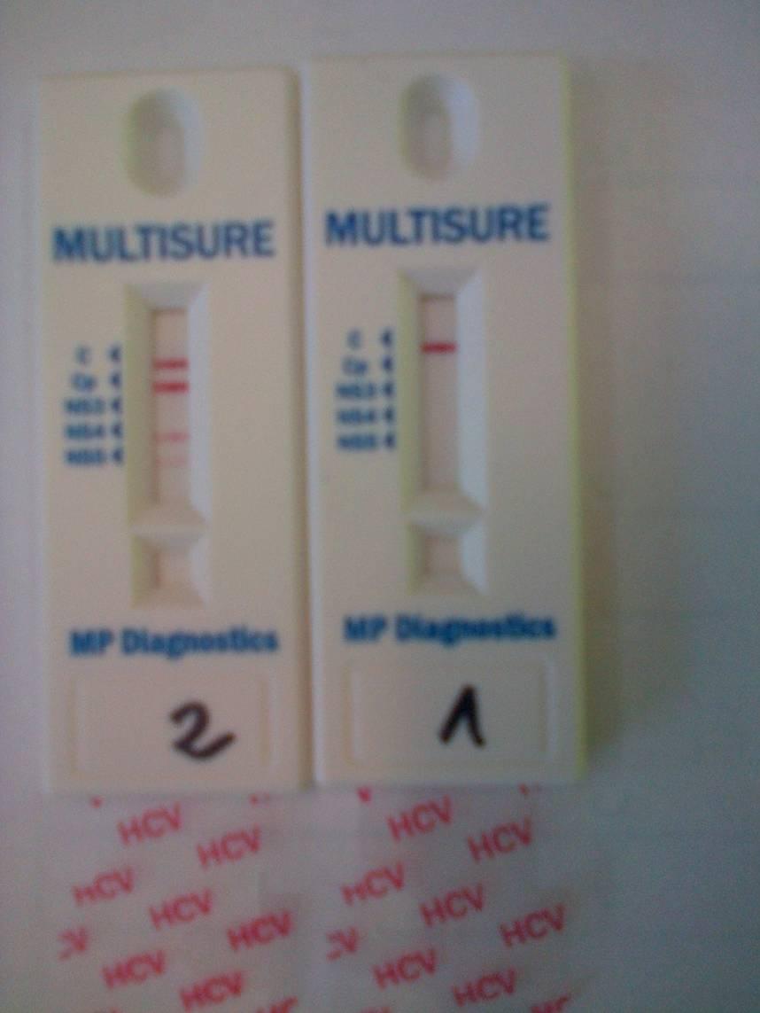 WYDAJNOŚĆ Badanie surowic pochodzących od polskich dawców krwi przy użyciu Multisure HCV RT Parametry diagnostyczne Wydajność 95% Przedział zaufania Czułość (2609/2627) 99.31% 98.92% - 99.