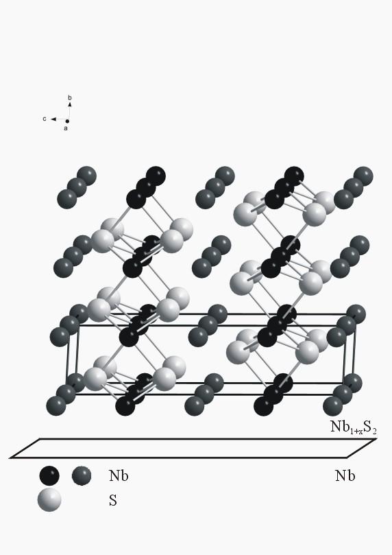 Nb 1+y S 2 rzut perspektywiczny struktury