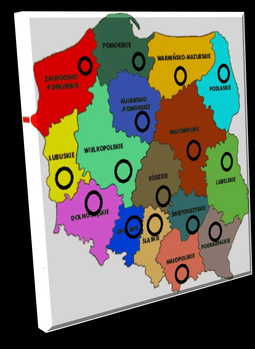 1.Liczba mieszkańców wg ewidencji 20 000 2.Liczba mieszkańców wg deklaracji 20 000 3.