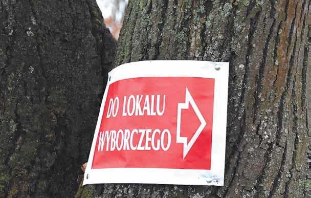 Moesz zagra w teledysku do debiutanckiego singla rzeszowskiego artysty Arka Nowy, pomiertny album Mae Carinhosa jest absolutnie premierowym 20 lipca br. w Radymnie w rekonstrukcji historycznej Woy 1943 - nie o zemst, Tag: placek z jagodami - Biznes i Styl - podkarpacki portal opinii