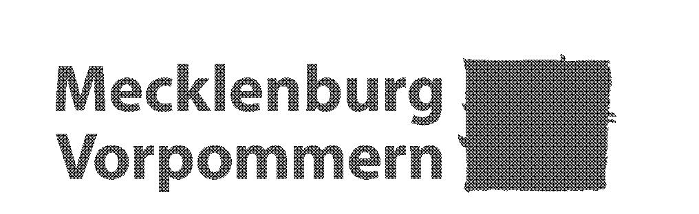 Struktura organizacyjna niemieckiej Policji Landespolizei M-V bis 29.02.