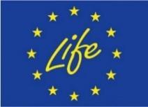 Informacje Wsparcie legalnego Handlu Drewnem Wsparcie legalnego Handlu Drewnem jest projektem prowadzonym przez NEPCon w celu wspierania przedsiębiorstw drzewnych w Europie za pomocą wiedzy, narzędzi