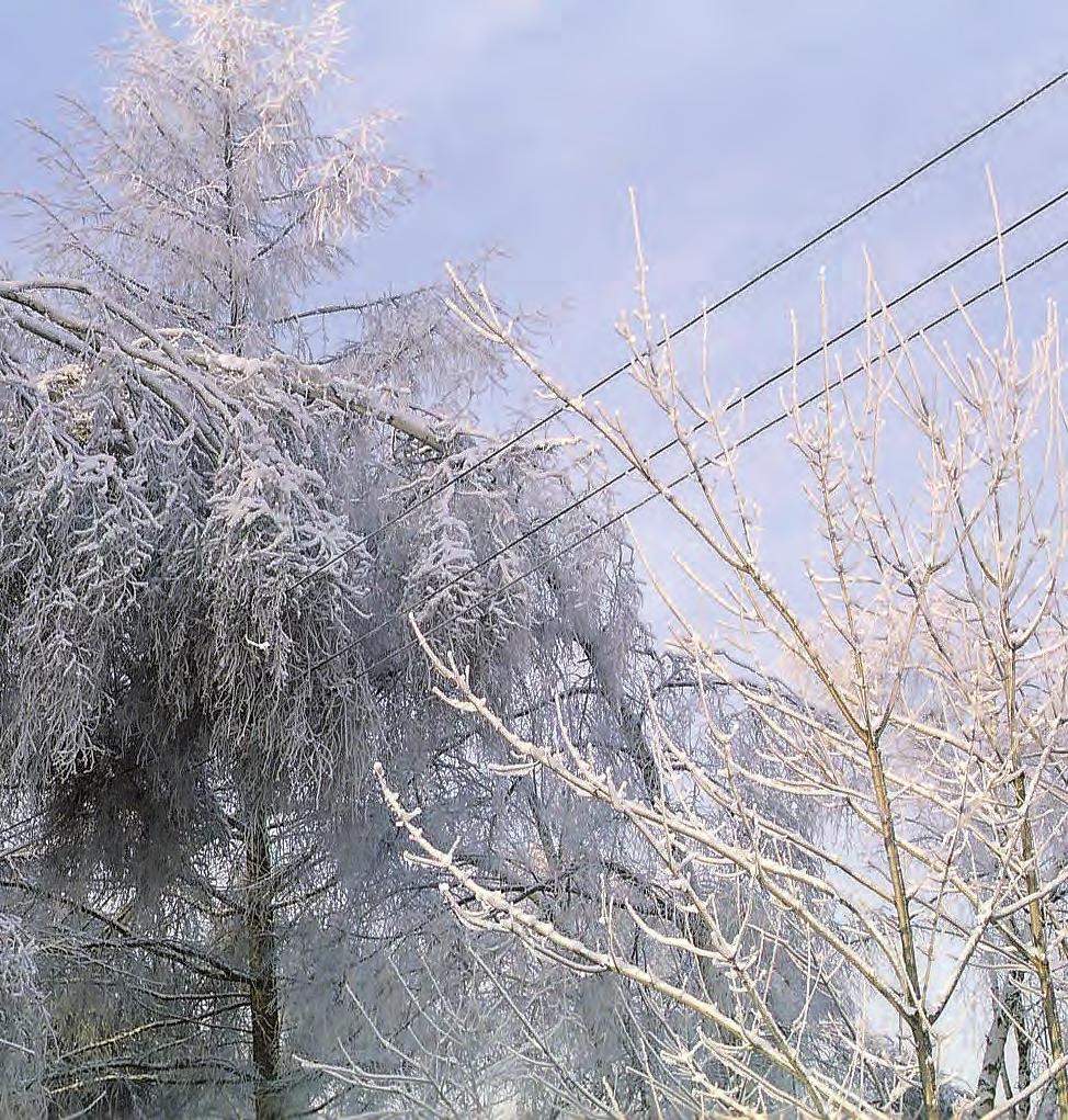 Automatyka sieci Jakość energii Linie napowietrzne nn Linie napowietrzne gołe Linie napowietrzne SN Osprzęt kablowy Narzędzia Linie średniego napięcia izolacyjnej Niezawodność i niższa awaryjność 52