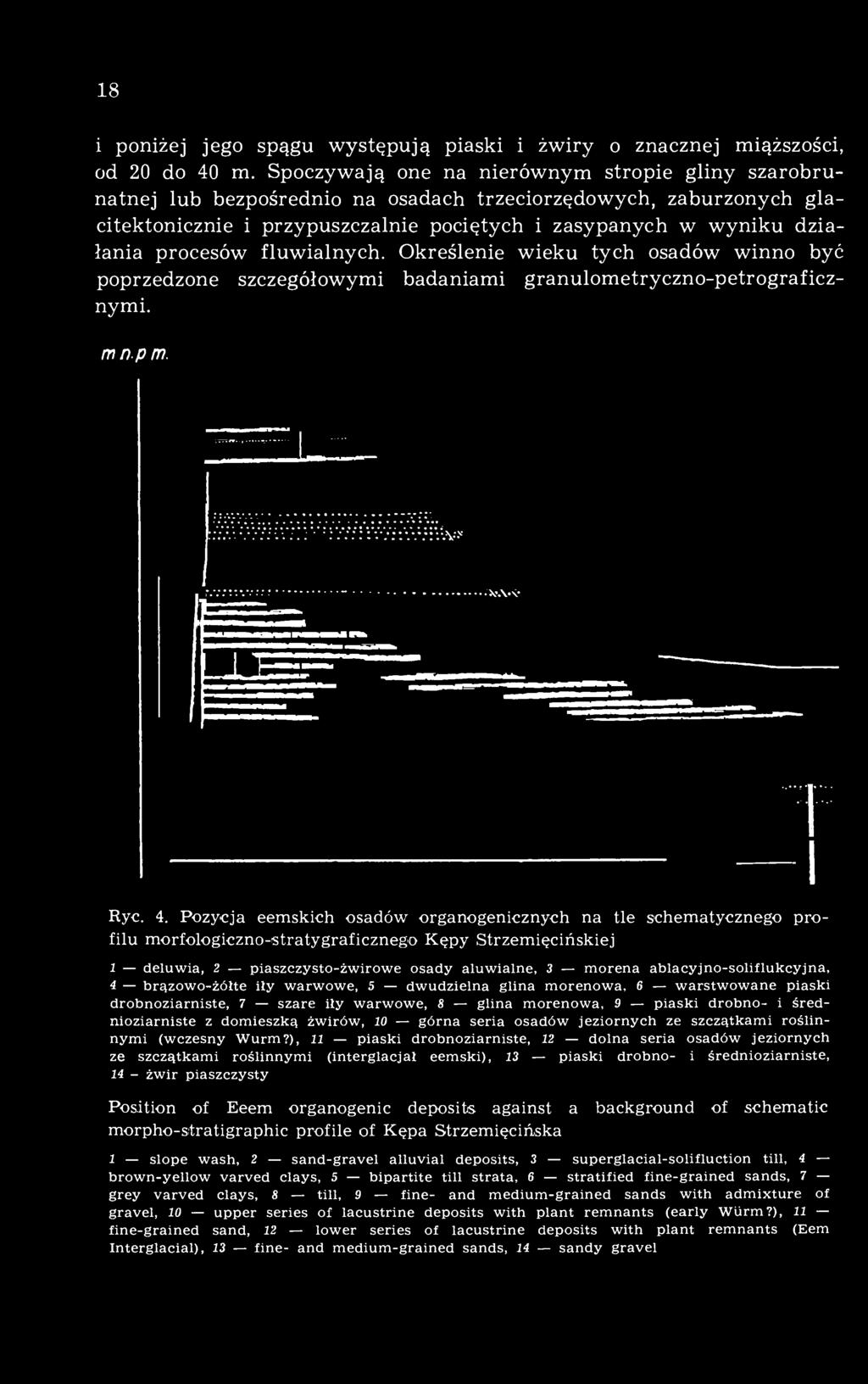 ablacyjno-soliflukcyjna, 4 brązowo-żółte iły warwowe, 5 dwudzielna glina morenowa, 6 warstwowane piaski drobnoziarniste, 7 szare iły warwowe, 8 glina morenowa, 9 piaski drobno- i średnioziarniste z