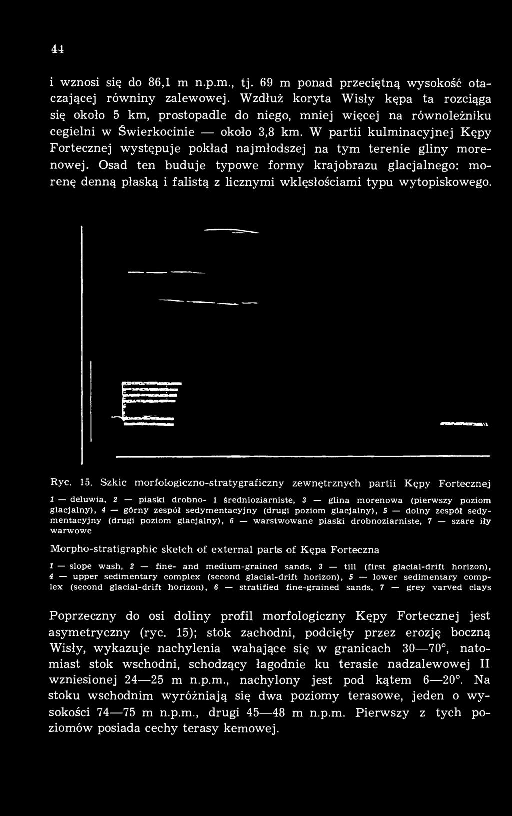 W partii kulminacyjnej Kępy Fortecznej występuje pokład najmłodszej na tym terenie gliny morenowej.