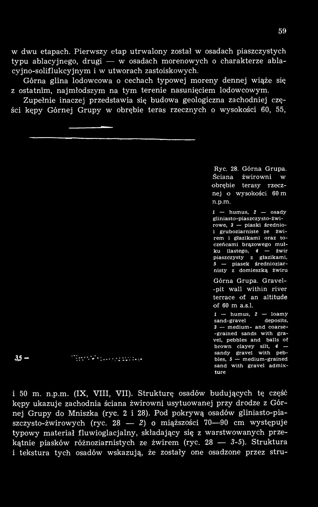 Zupełnie inaczej przedstawia się budowa geologiczna zachodniej części kępy Górnej Grupy w obrębie teras rzecznych o wysokości 60, 55, 59 Ryc. 28. Górna Grupa.