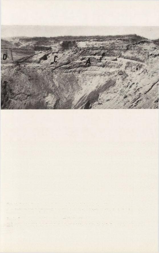 Fot. 10. Rządz. Fragment południowej ściany żwirowej (ryc.