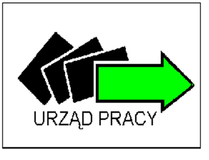 Powiatowy Urząd Pracy w Sanoku MONITORING ZAWODÓW DEFICYTOWYCH I