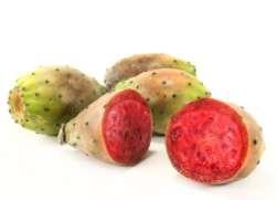 ficus-indica)