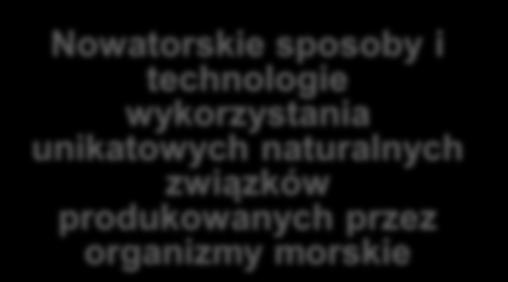 środowisku morskim i przybrzeżnym ISP 1 Technologie offshore i portowologistyczne Nowatorskie sposoby i technologie wykorzystania unikatowych