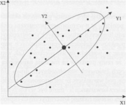 Diagram korelacyjny Populacja i próbka - główne składowe Etapy analizy