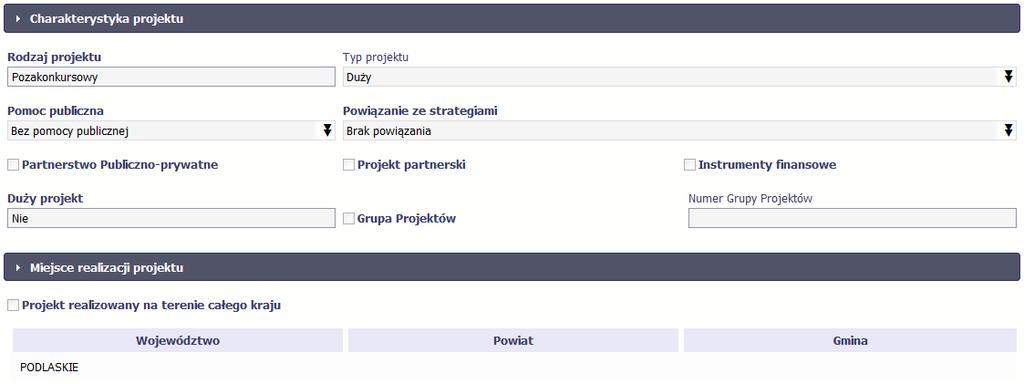 Kolejnymi elementami są Charakterystyka projektu oraz Miejsce realizacji