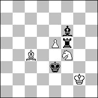 Wd4 Gc6 2.G:a5=bG Wc3#. 1 pochwała nr 10 - Stefan PARZUCH Reciprok, w obu grach maty idealne. Bicia pionków służą do zamiany kolorów czarnych figur, co nie jest zaletą tej miniatury. a) 1.