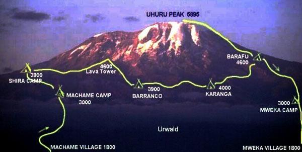 Dzień 3: Machame Checkpoint(1900 m) Machame Camp(2980 m). Samochodami z Moshi dojeżdżamy do Machame Checkpoint, gdzie znajduje się brama Parku Narodowego.