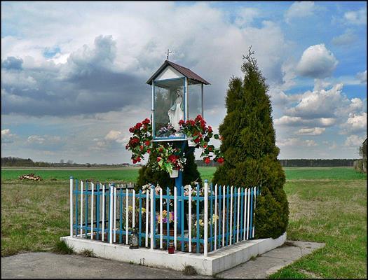 Bukowina
