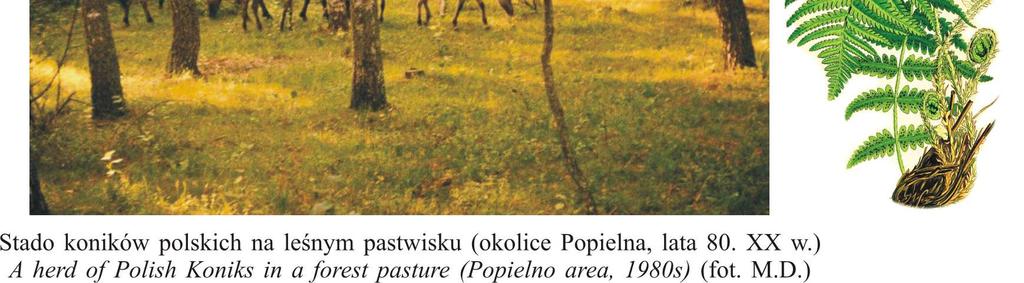 Zwierząt IZ PIB sympozjach, poświęconych zagadnieniom zachowania koni ras rodzimych uznanych za zagrożone w aspekcie programu rolno-środowiskowego. Literatura http://www.izoo.krakow.pl/index.php?