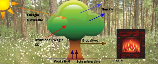 ENERGIA Z BIOMASY - ZEROWA EMISJA CO 2