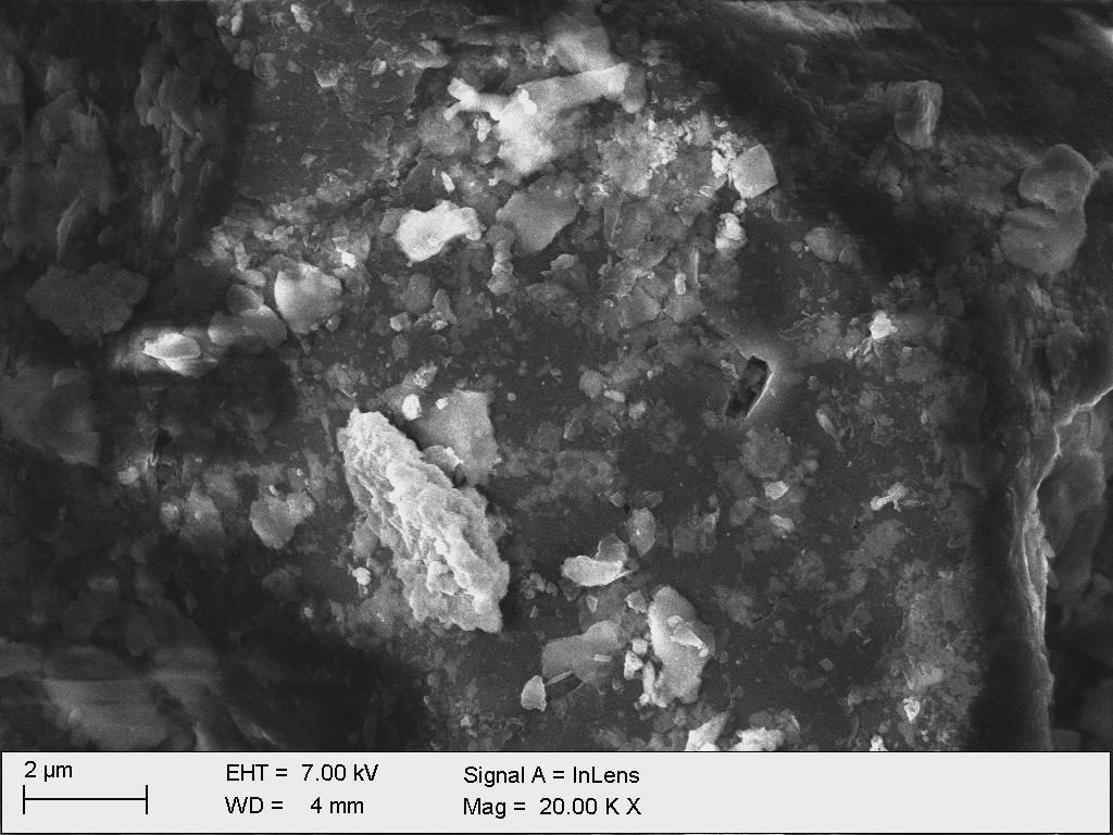 Widok mikroskopowy SEM ziarna węgla dobrze