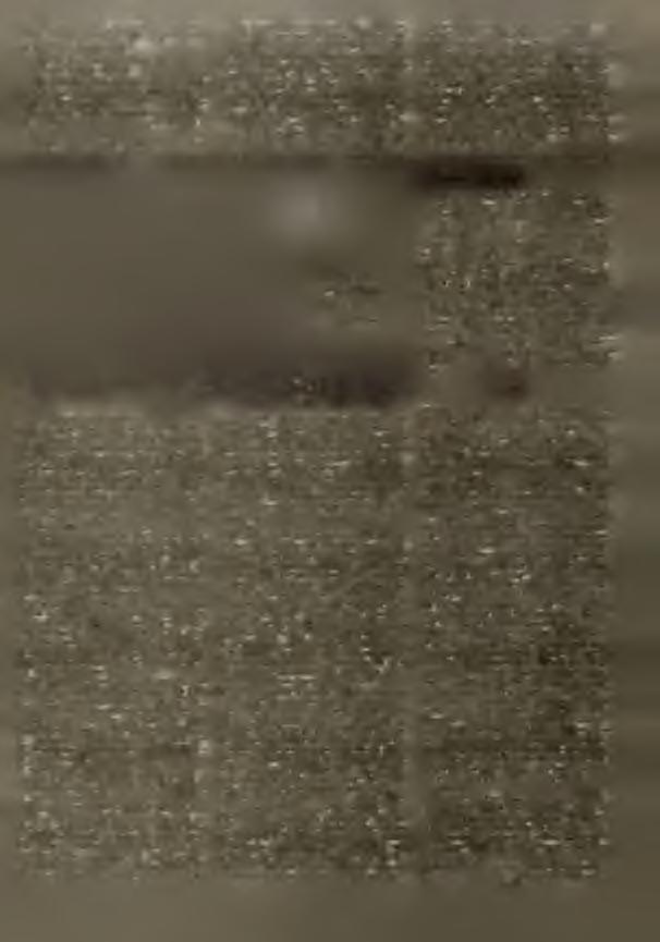 W ot w ašeje sta re je dźowki pak sym tež zhonił, zo so na kw as w jeseliła n jejsy, zo sy je - nož staršim aj k w oli do žeńtw y zwoliła.