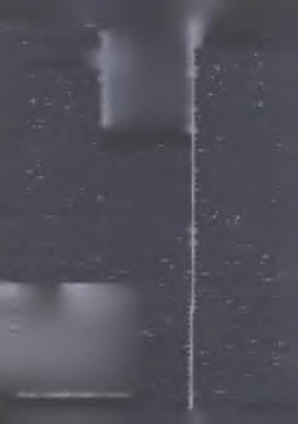 Prĕnjotnje bĕ 120 cm x 170 cm wulka pĕskowcowa plata bjezdwĕla na rowje mandźelskeju ležała.