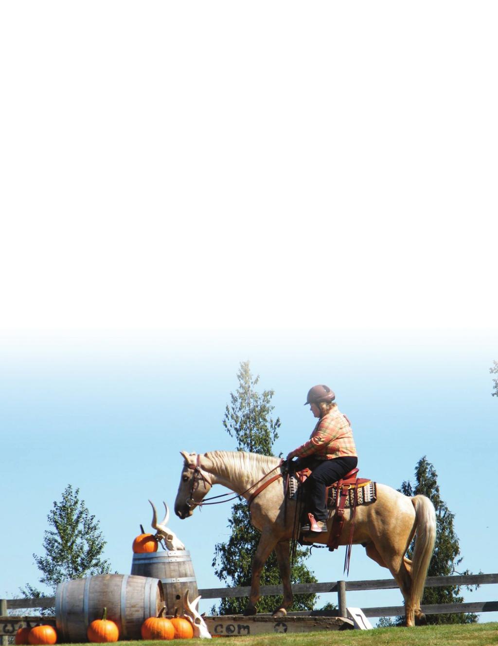 EQUESTRIAN