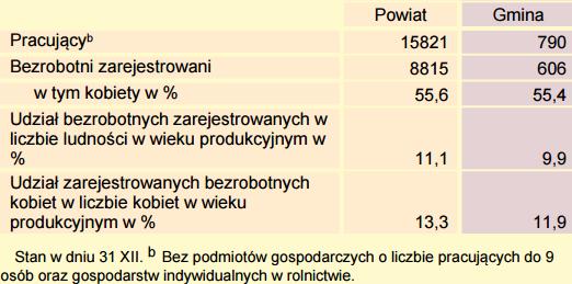 społecznym. Osoby długotrwale bezrobotne, niepełnosprawne bądź uzależnione mają nieporównywalnie gorszą sytuację na rynku pracy, aniżeli pozostała część społeczeństwa w wieku produkcyjnym.