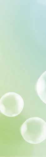 40046369 26 SOFTLAN