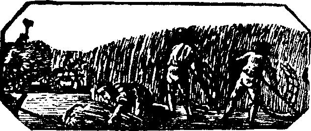 Ulriki 7 ßrjeda Donata 8 schtw. Severa Opiats Ericha 10 ßobot. Lawrjenza extdop.^: Luk. 13, 3 1-3 5 ; Pop.:.Äak. sk. 9, 1 8. 11. n. p.sw. 2 2 ' n P 8WJ- 430 740 * E kh. p. A fry 23 K h ry s tin y 432 7 38 837 Khryst.