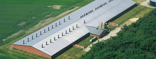 Od pojedynczego budynku inwentarskiego do kompleksu farm, wykonanych pod klucz Zakład tuczu świń z 1800 miejscami tuczowymi Od mieszalni pasz do tucznika, gotowego do rzeźni firma Big Dutchman