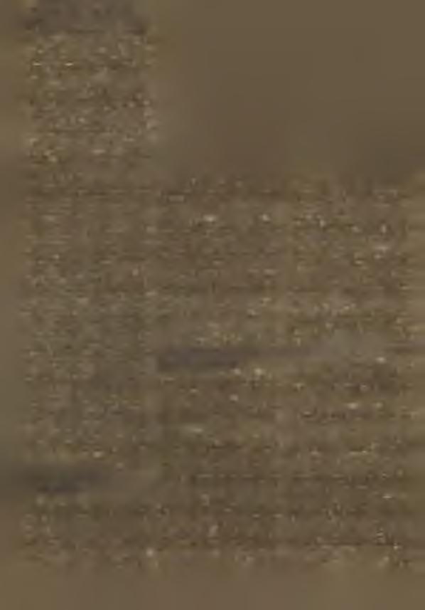 A le p řed tym sm y 450 m inutow dołho byli sw ĕdkojo w u lk eho ro zestajen ja, kotrež steješe n a spočatku toho, štož dźensa sm y ew angelsk ich cyrkw jow.