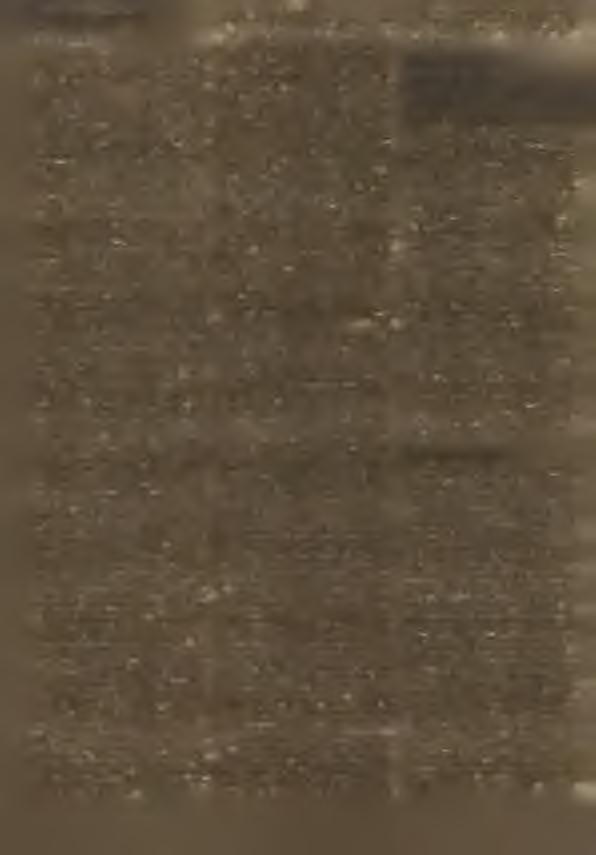 W ot stareh o k o n ja ćehnjeny, hibaše so stary zeleny płachtow y woz, kaž m ĕjach u je tehdom Cyganojo, po droze. P rĕ d k u so čum paca la ta rn ja a zady tež jedna.