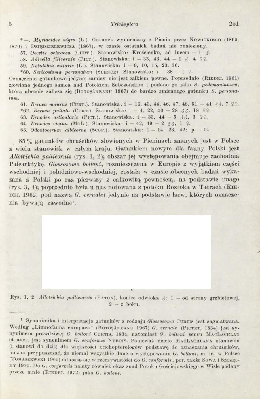 o Trichoptera 251 *. M ystacides nigra (L.). Gatunek wymieniany z Pienin przez N o w i c k i e g o (1865, 1870) i D z i ę d z i e l e w i c z a (1867), w czasie ostatnich badań nie znaleziony. 5 7.