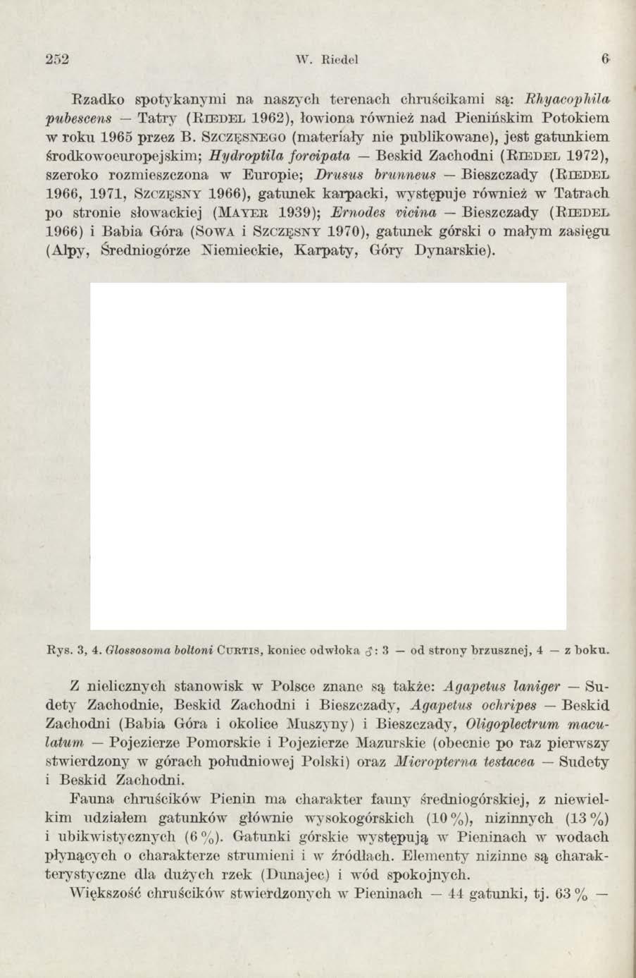 252 W. Riedel 6 Rzadko spotykanym i na naszych terenach chruścikam i są: Rhyacophilav pubescens T atry ( R i e d e l 1962), łowiona również nad Pienińskim Potokiem w roku 1965 przez B.
