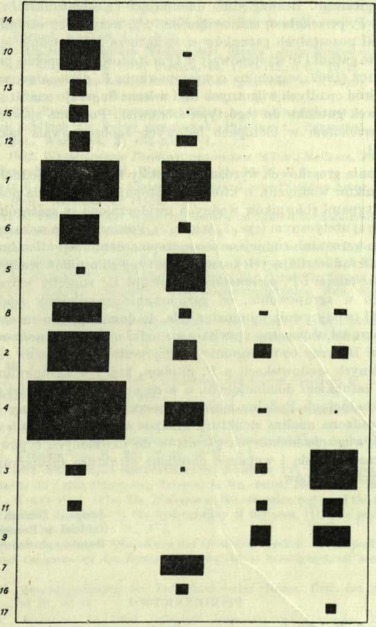 Diagram syntetyczny wzajemnych zależności 17 gatunków groszkówek