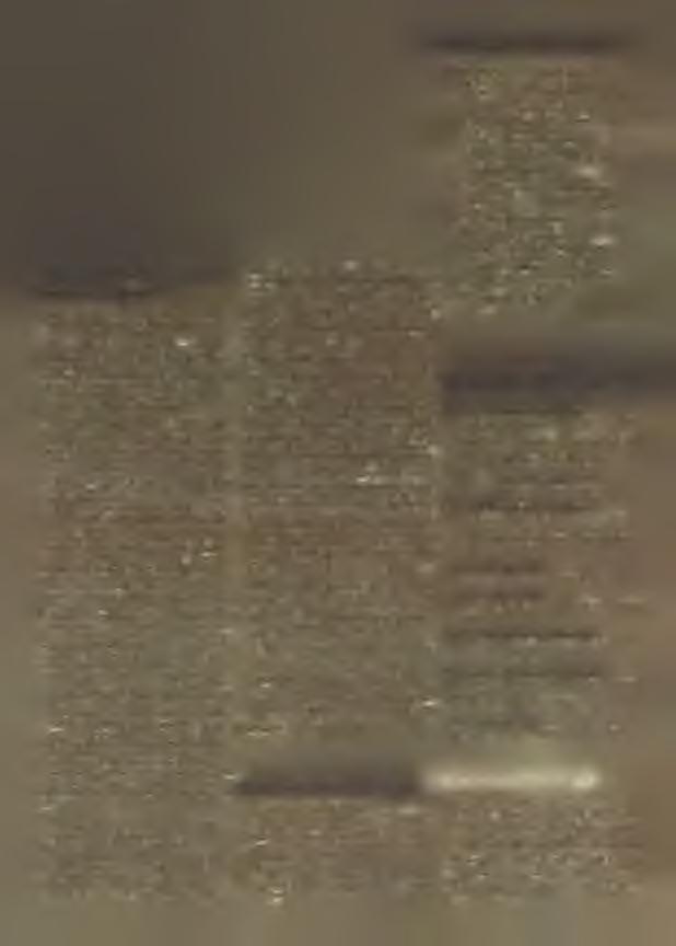1928 a na m ĕsačne stu d ijn e p řeb y w an je w h o rn jo - łužiskej m etropoli B u d y šin je w 1. 1930 kelko je so z toho časa zm ĕniło!