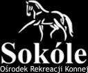 , czerwca /0 cm 0:00 (0-0-) Wydruk: 0-0- 0:: Konkurs nr: / 0 cm / Konkurs nr, "Open", dokładności, wys. 0 cm, (art.