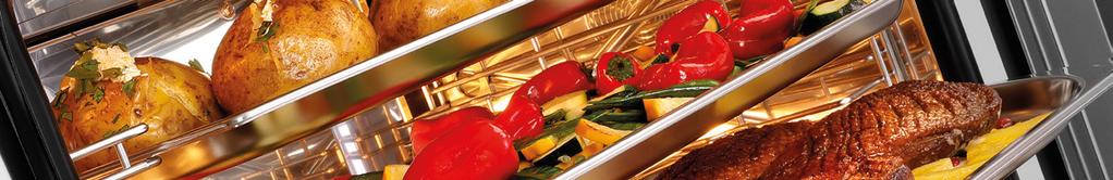 gotowanie niskotemperaturowe wytwarzanie pary metodą bezpośredniego natrysku ilość faz gotowania: 1 programów gotowania: 1 zakres temperatury: 50 C do 280 C nastawa czasu: 0 do 120 minut komin