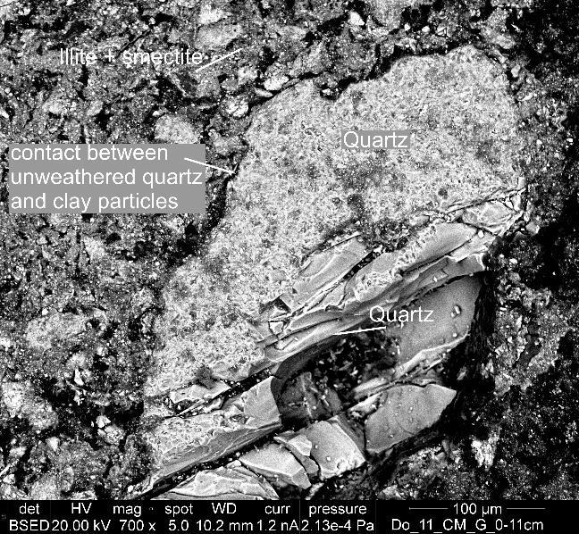 However, the identification of a particular clay mineral, as the clay particle is covered with various weathering products.