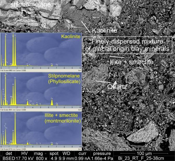 Weathered phyllosilicate (stilpnomelane) in the soil of the Upper Pleistocene deposits (Western Lithuania, Bijotai) 3.