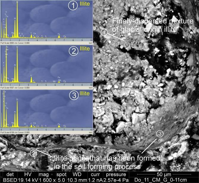 (mica and stilpnomelane) weathering (Fig. 4a, 4b), and they are most abundant in the Lithuanian soils.