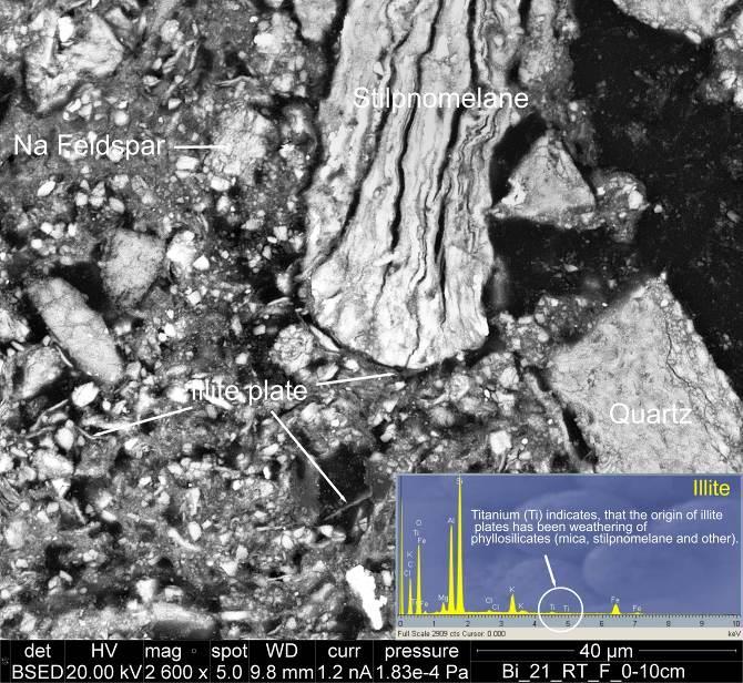 4. We looked after a mineral bentonite (aluminium phyllosilicate clay consisting mostly of montmorillonite (Ca) and