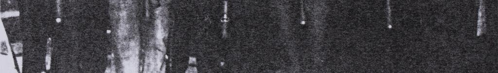 Ryc. 2.