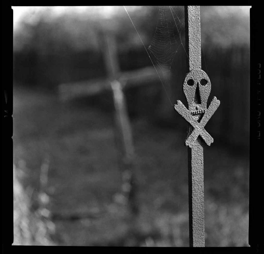 Tadeusz