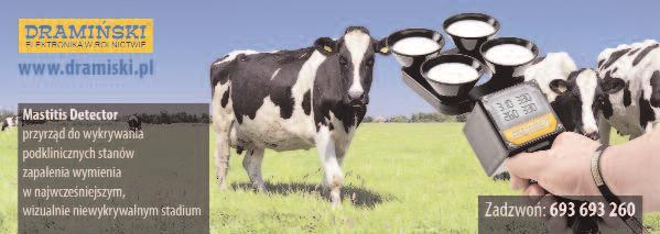 Zwalczanie obejmuje zapobieganie rozsiewaniu patogenu z wyżej wymieniony źródeł. Występowanie mastitis wywołanego tym mikroorganizmem jest sporadyczne i dotyka jedną lub dwie krowy w stadzie.