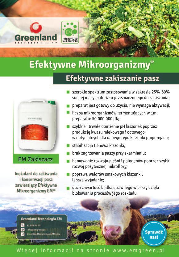 zapalnej.