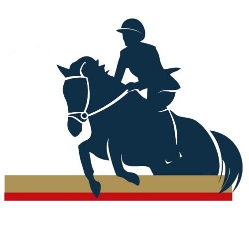 International Show Jumping; 1st week SOPOT, 10-13.01.2019 1/5-6 YO 08:00 (10-01-2019) Wydruk: 05-02-2019 11:01:43 Wyniki konkursu (Results) Konkurs nr: 1 / 5-6 YO / CSIYH1* -Two Phases Special - 274.