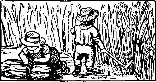 4 32 7 39 11 35 4 38 5 Srjeda S. Mar. n-sn. 4 33 7 37 n dop. 5 36 6 Schtwörtk Pschekr. Khr. 4. 35 7 35 -E 12 33 6 22 7 Pjatk t Natusch, b. 4 36 7 34 HE 1 46 6 56 8 Sobota Largus, m.