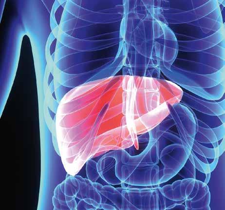 National Cancer Institute of United States Polskie Towarzystwo Onkologii Klinicznej oraz Fundacja Tam i z